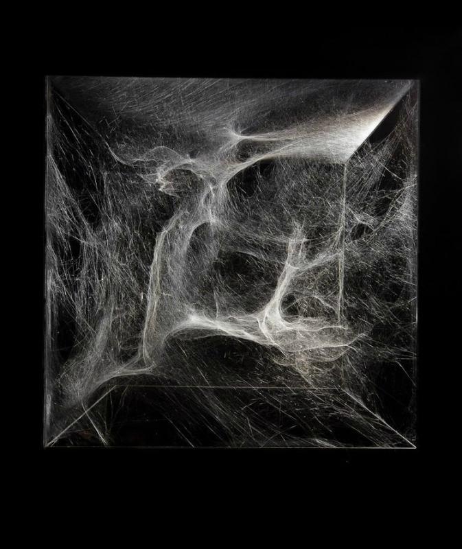 Tomás Saraceno , exposition « Hybrid Solitary, Semi Social Quintet, On Cosmic Webs » © Tanya Bonakdar Gallery & Biennale d’architecture de Chicago