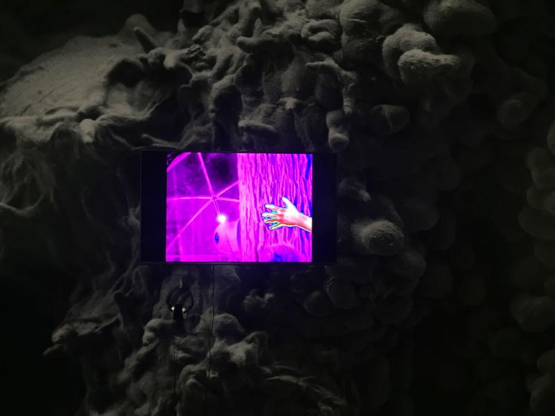 Dendromité, respirer avec l'arbre, en collaboration avec Claire Damesin, systématique, écologie et évolution (Paris-Saclay), 2017.
Un/Green / RIXC Art Science Festival, Latvian National Museum, Riga, 2019. © Karine Bonneval