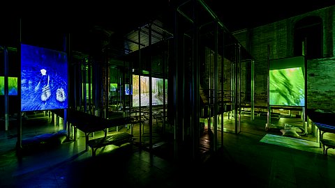 Hito Steyerl, This is the Future, 2019 © Photo by: Andrea Avezzù / Italo Rondinella / Francesco Galli / Jacopo Salvi
Courtesy: La Biennale di Venezia