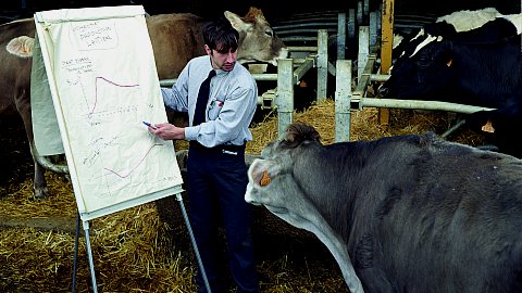 Comment expliquer les objectifs de production laitière aux vaches
Série Objectifs de Production, Thierry Boutonnier, 2005
Extrait (détail du dialogue), série de photographies couleurs contrecollées sur aluminium, 60 x 83 cm