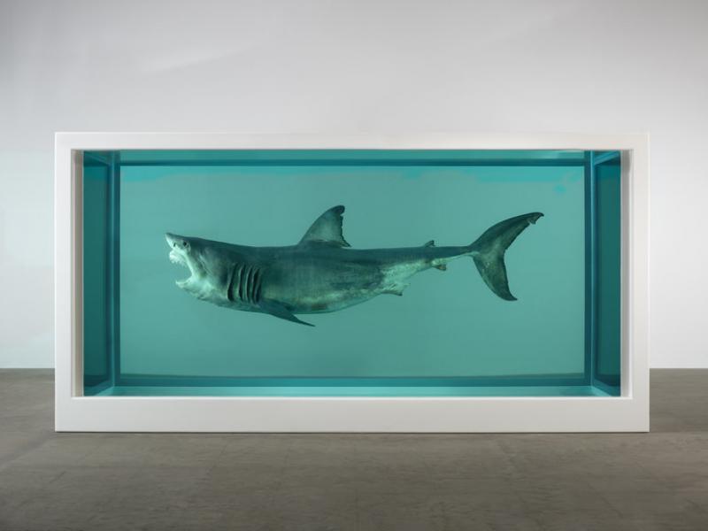 Damien Hirst, The Immortal, 1997 - 2005 © Photographed by Prudence Cuming Associates © Damien Hirst and Science Ltd. All rights reserved, DACS 2013