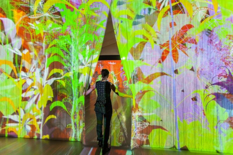 Miguel Chevalier, Sur-nature, 2014, installation générative et interactive © Miguel Chevalier