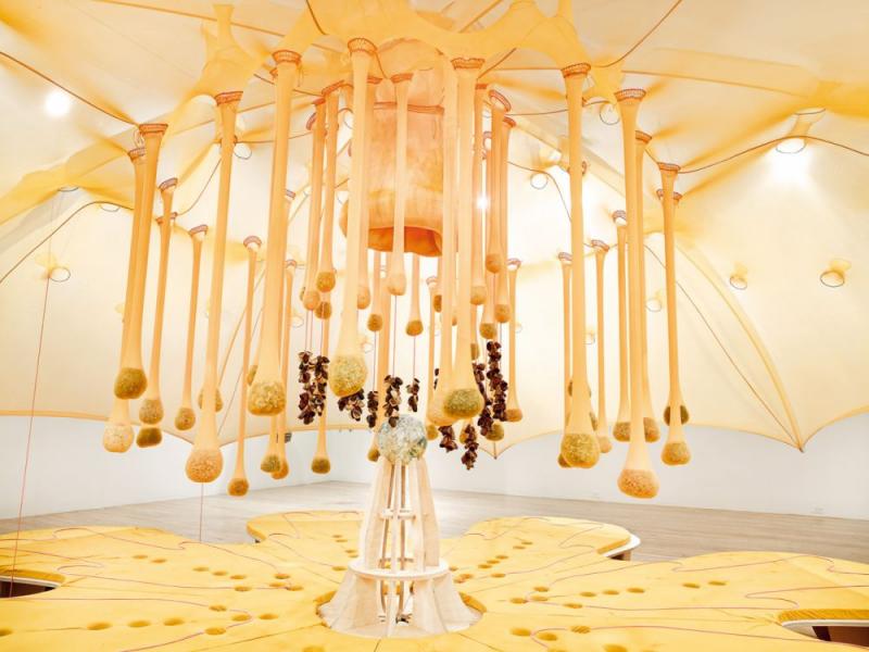 Vue de l’exposition Jardin infini,Centre Pompidou Metz,Ernesto Neto, Flower Crystal Power, 2014 © The artist and Tanya Bonakdar Gallery